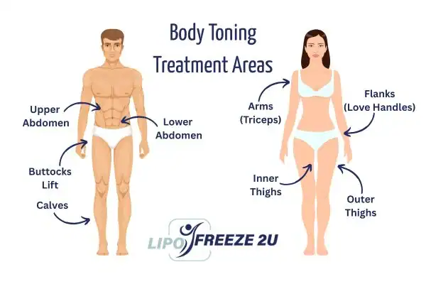 Graphic showing where you can have Body toning Treatment Farnborough on your body